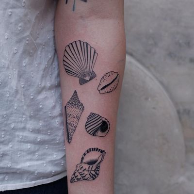 Illustrative tattoo by Mab Matiere Noire #MabMatiereNoire #illustrative #linework #nature #expressive #seashell #shells #oceanlife #conch