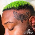 Tattoo by Debbi Snax #DebbiSnax #illustrative #moth #insect #animal #scalp #headtattoo #tattoosondarkskin