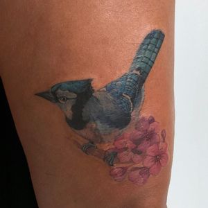 Blue Jay bird tattoo by Amanda Wachob #AmandaWachob #darkskintattootips #darkskintattoo #bird #bluejay #flower #floral #feathers #nature #animal