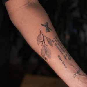 Illustrative tattoo by Nicolas Trotman aka Nick Trotman #NicolasTrotman #NickTrotman #illustrative #blackandgrey #nature #plant #dotwork #leaf #queertattooer #lgbtqia #bipoc #qttr #lgbt #qtbipoc