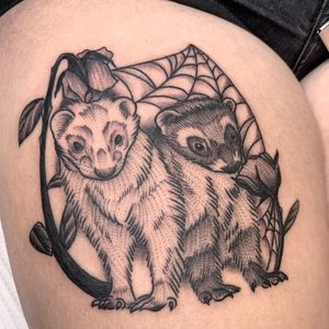 Ferret tattoo by cadbaby #cadbaby #ferret #animal #rose #spiderweb #blackwork #illustrative