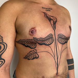 Top surgery tattoo by Addy Engeman aka stabsnscabs #AddyEngeman #stabsnscabs #topsurgerytattoo #leaves #leaf #plant #nature