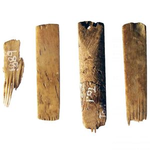 Ancient tattoo tools from Tangatapu #tangatapu #tattootools #tattoosupplies #tattoohistory #tattooculture