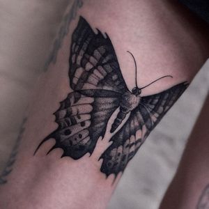 Tattoo by Alena Zozulenko #AlenaZozulenkoo #illustrative #blackandgrey #butterfly #darkart #wings #nature #animal #insect