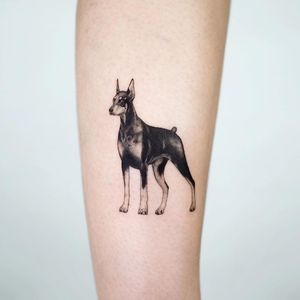 Doberman tattoo by zeal tattoo #zealtattoo #doberman #realism #dogtattoo #dog #petportrait #animal