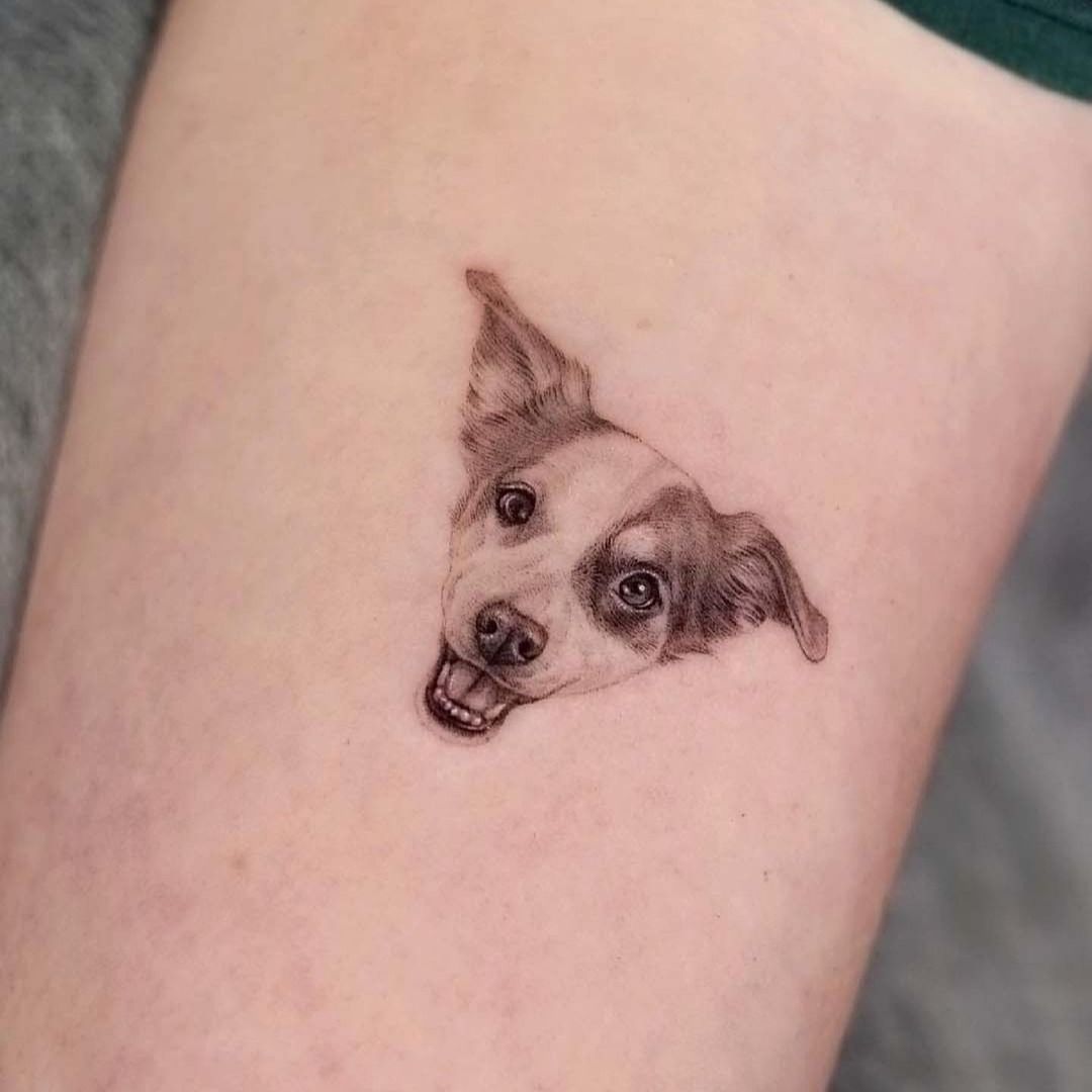 Realistic dog portrait Tattoo  Tatouage réaliste chien fait à Nice France  par John Hudic  Black and grey tattoos Dog tattoo Animal tattoo