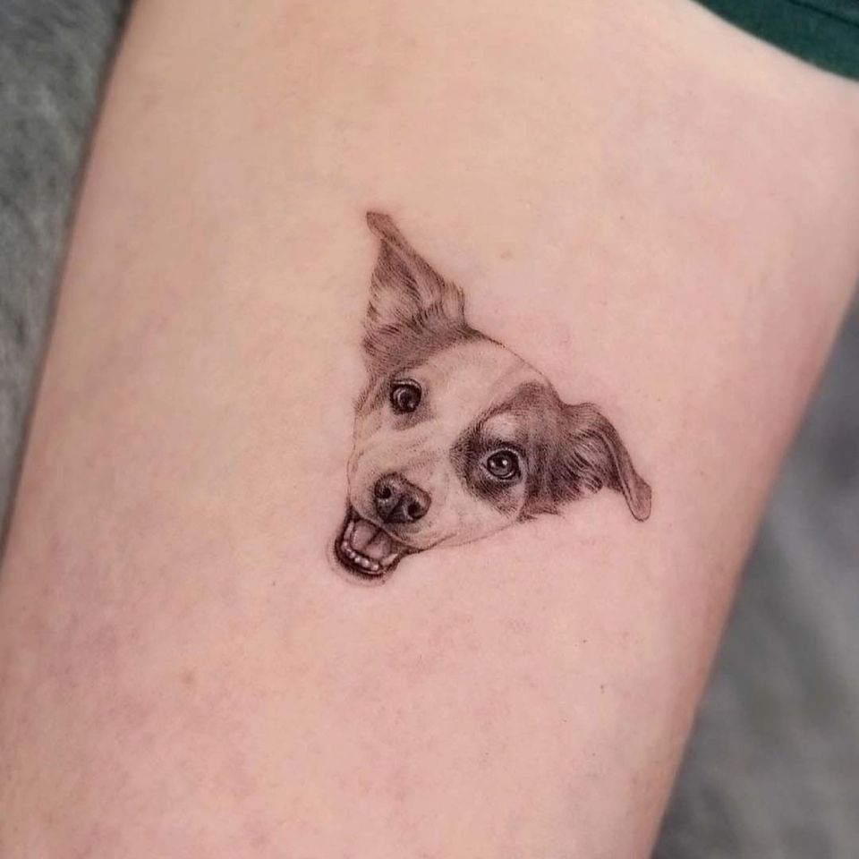 Реалистичная татуировка собаки от w_inkstudio #winkstudio #реализм #dogtattoo #собака #портрет домашнего животного #животное