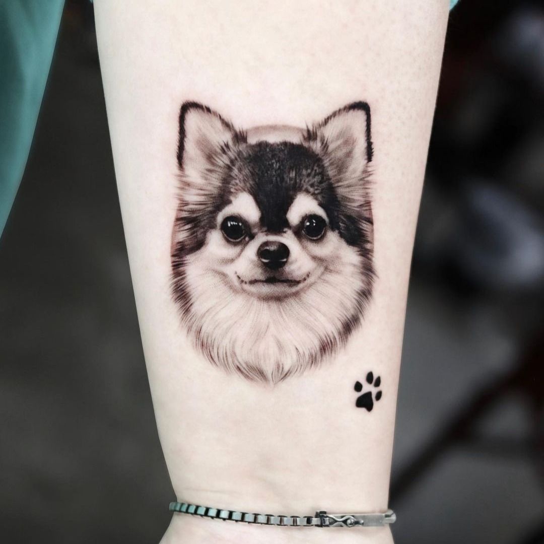 Chihuahua Temporary Tattoo Sticker  OhMyTat