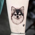 Chihuahua tattoo by tattooist yeono #tattooistyeono #chihuahua #dogtattoo #dog #petportrait #animal