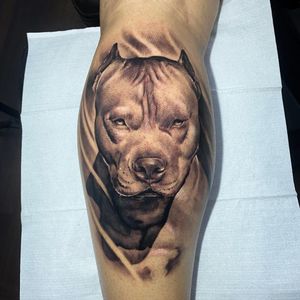 Pitbull tattoo by torrestattoo #torrestattoo #pitbull #blackandgrey #realism #dogtattoo #dog #petportrait #animal
