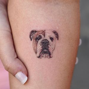 Tattoo uploaded by Tattoodo • Bulldog tattoo by w_inkstudio #winkstudio # bulldog #realism #microportrait #mini #tiny #dogtattoo #dog #petportrait  #animal • Tattoodo