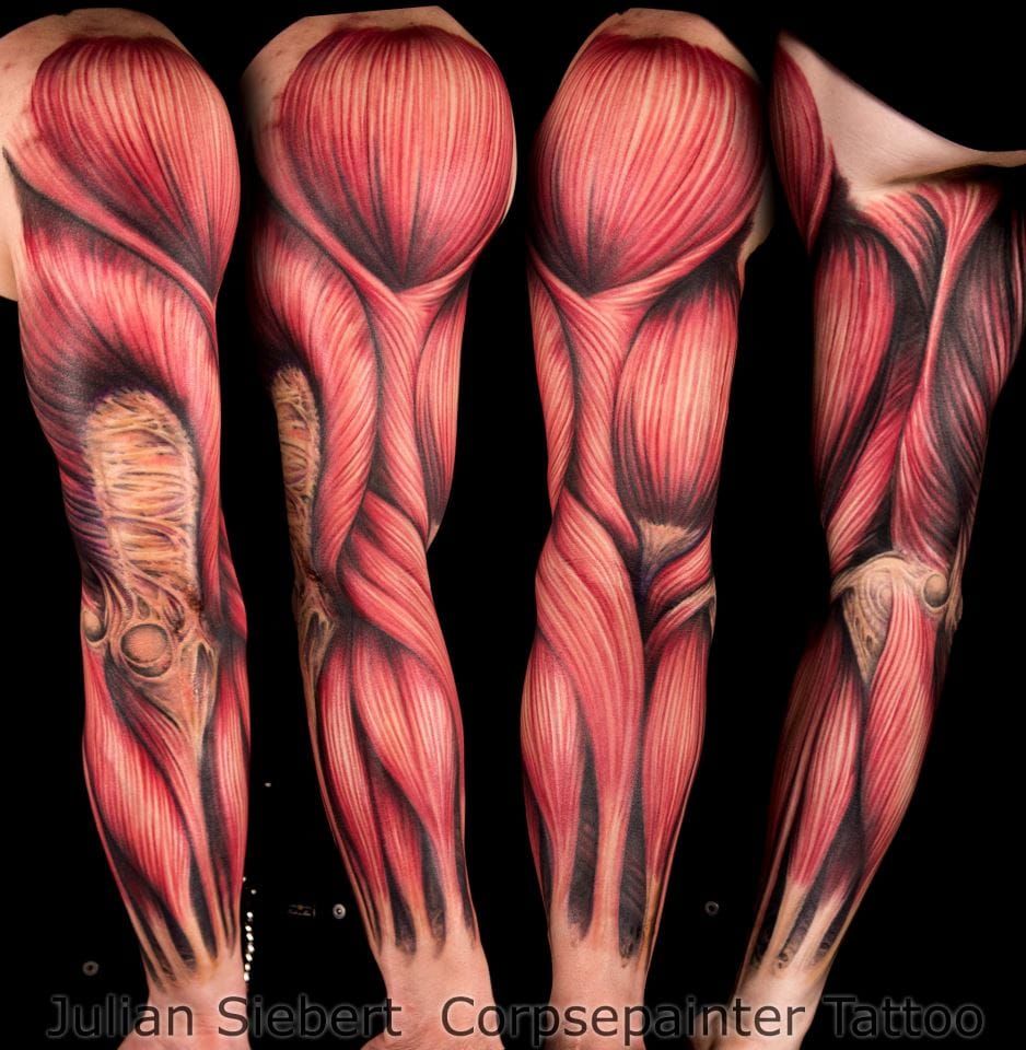 50 Amazing Vine Tattoos  Vine tattoos Around arm tattoo Forearm tattoo  women