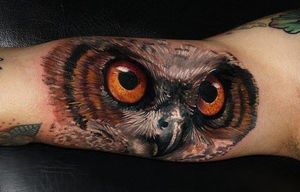 Crazy realistic owl's face by Carlox! #carlox #owl #realism