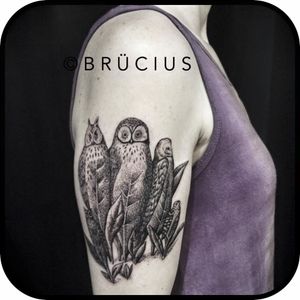 Fun engraving illustration by Brücius #blackwork #owl #owltattoo