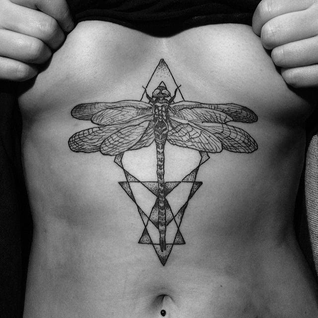 3d tattoos dragonflyTikTok Search