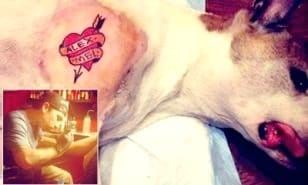 Mistah Metro proudly posted this picture of him tattooing his dog on Instagram.
