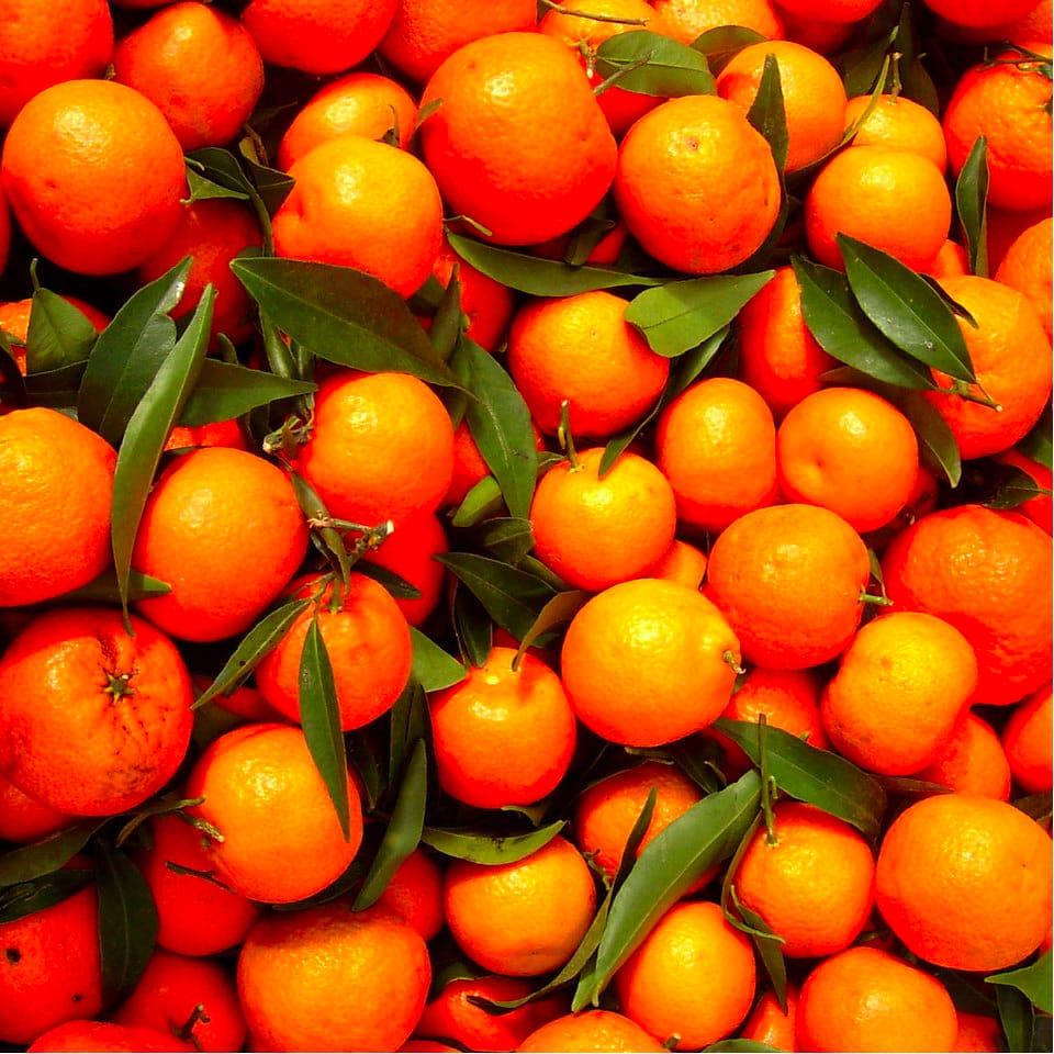 6 Foods to Help Heal Your Tattoo Heal • Tattoodo