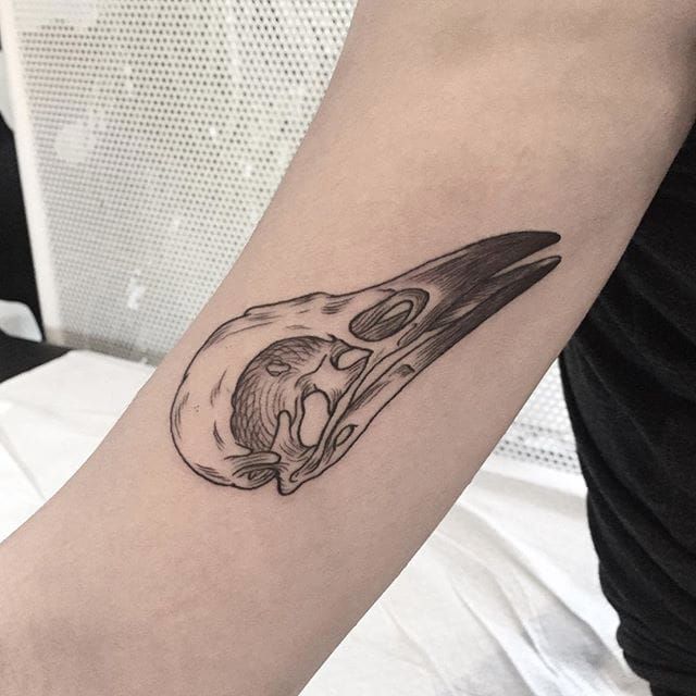 18 Ominous and Dreamlike Bird Skull Tattoos  Tattoodo