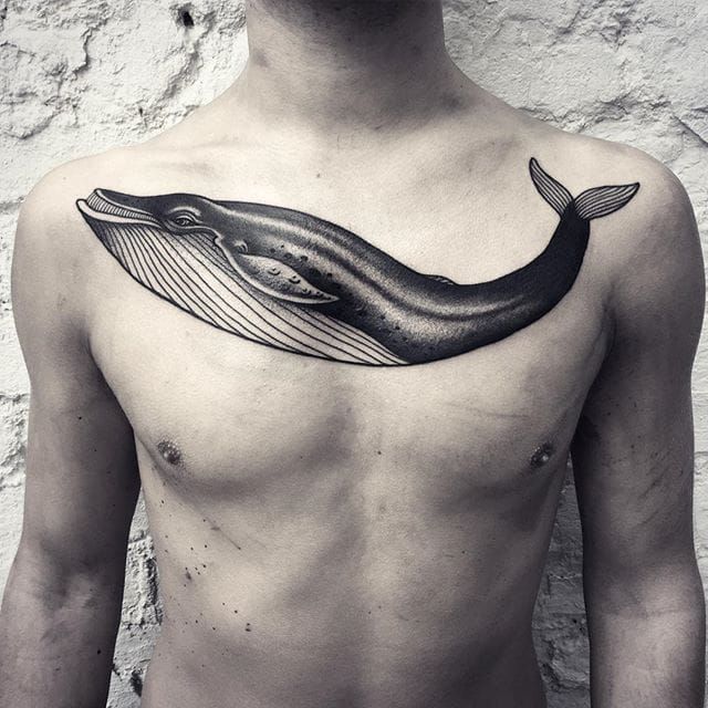 Discover 78 blue whale tattoo best  thtantai2
