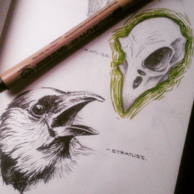 bird brained  Animal skull drawing Skulls drawing Skull drawing