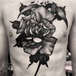 One of Kelly Violet's most impressive floral tattoos (IG—kellyviolence). #blacktattoo #blackwork #flowers #kellyviolet