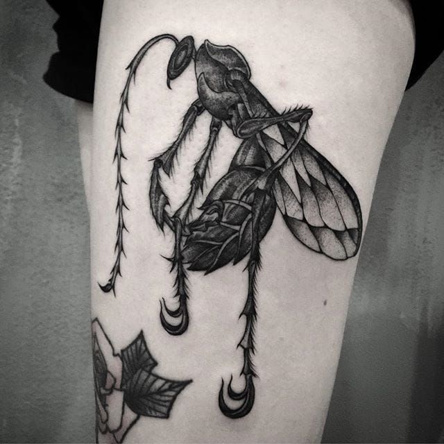 Man Goes Viral With Bizarre Shrimps Is Bugs Tattoo Inspiring Copycats