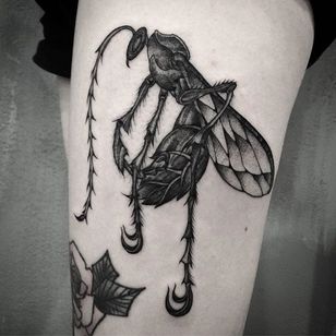 insect tattoo