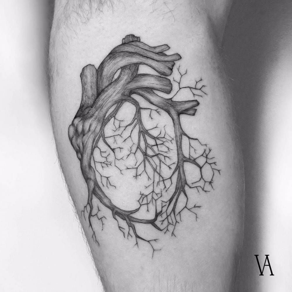 Fine line style anatomical heart tattoo on the back of