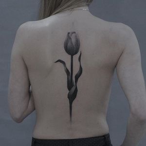 Tulip by Gena Puhnarevich (via IG-gena_tattooer) #illustrative #surreal #dotwork #linework #blackink #genapuhnarevich
