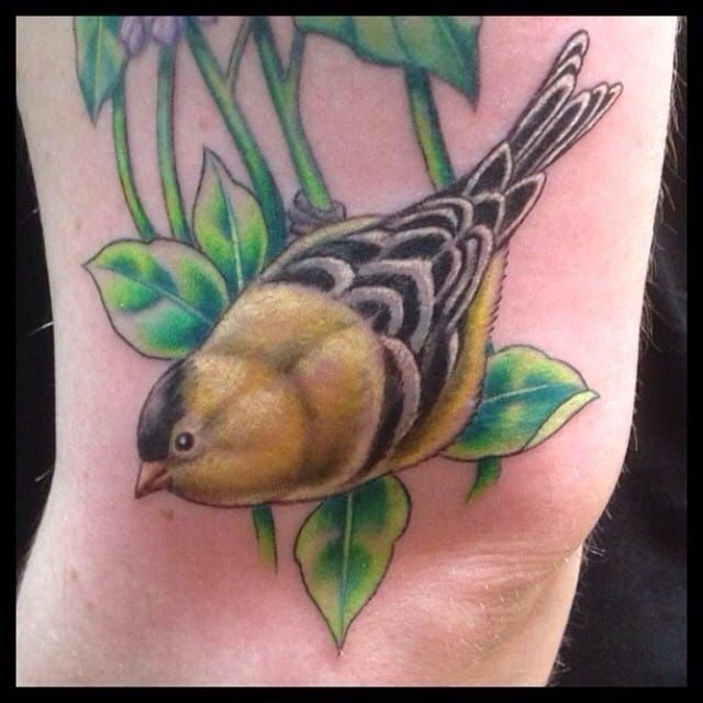 Goldfinch Tattoo by Jesse Rix TattooNOW