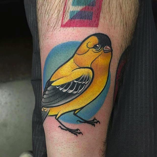 Yellow Finch Tattoos  Yellow bird tattoo Finch tattoo Tattoos