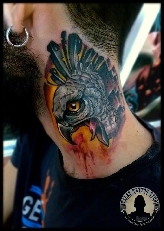 Trash Tattoo  Red tail hawk native american piece ive done villainarts  in philly  Thank you so much for trusting me with this delicate honouring  piece  for those who want