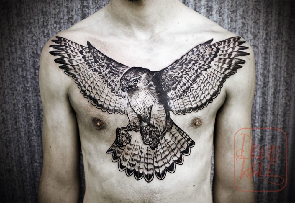 20 Nice Hawk Tattoo Designs  Native american eagle tattoo Hawk tattoo  Tribal animal tattoos