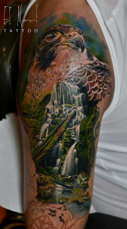 Jeff Norton Tattoos  Tattoos  Body Part Arm  Red tailed hawk