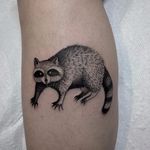Garbage lover by Justin Olivier #justinolivier #blackwork #raccoon #animal #nature #linework #illustrative #sketch #tattoooftheday