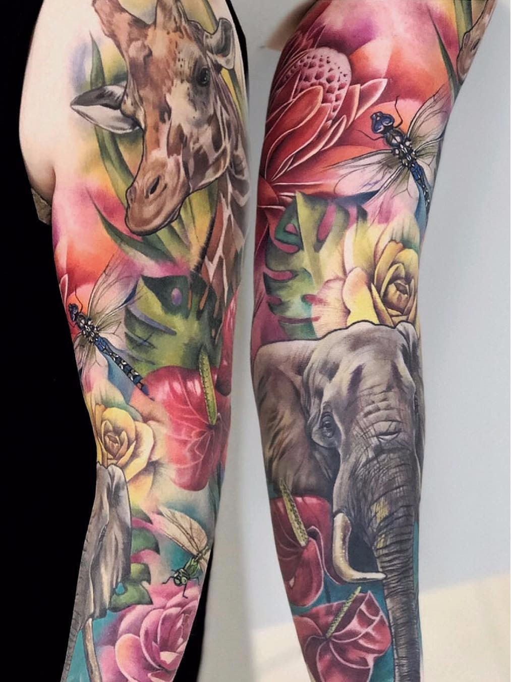 Por Freddie Albrighton #FreddieAlbrighton #gringo #colorido #colorful #realismo #realism #realismocolorido #nature #natureza #flor #flower #elephant #elefante #girafa #giraffe #libelula #dragonfly