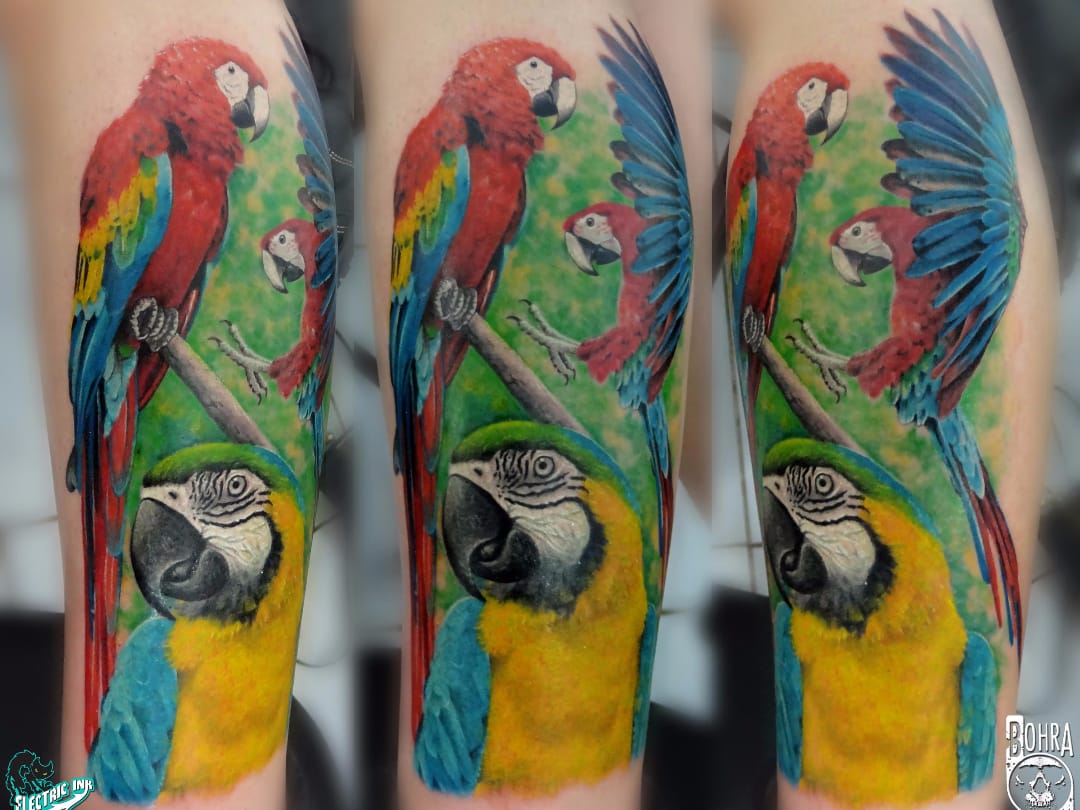 Ararinhas #JandersonBolzan #Bohra #brasil #brazil #brazilianartist #tatuadoresdobrasil #realismo #realism #colorido #colorful #arara #ave #passaro #bird #nature #natureza