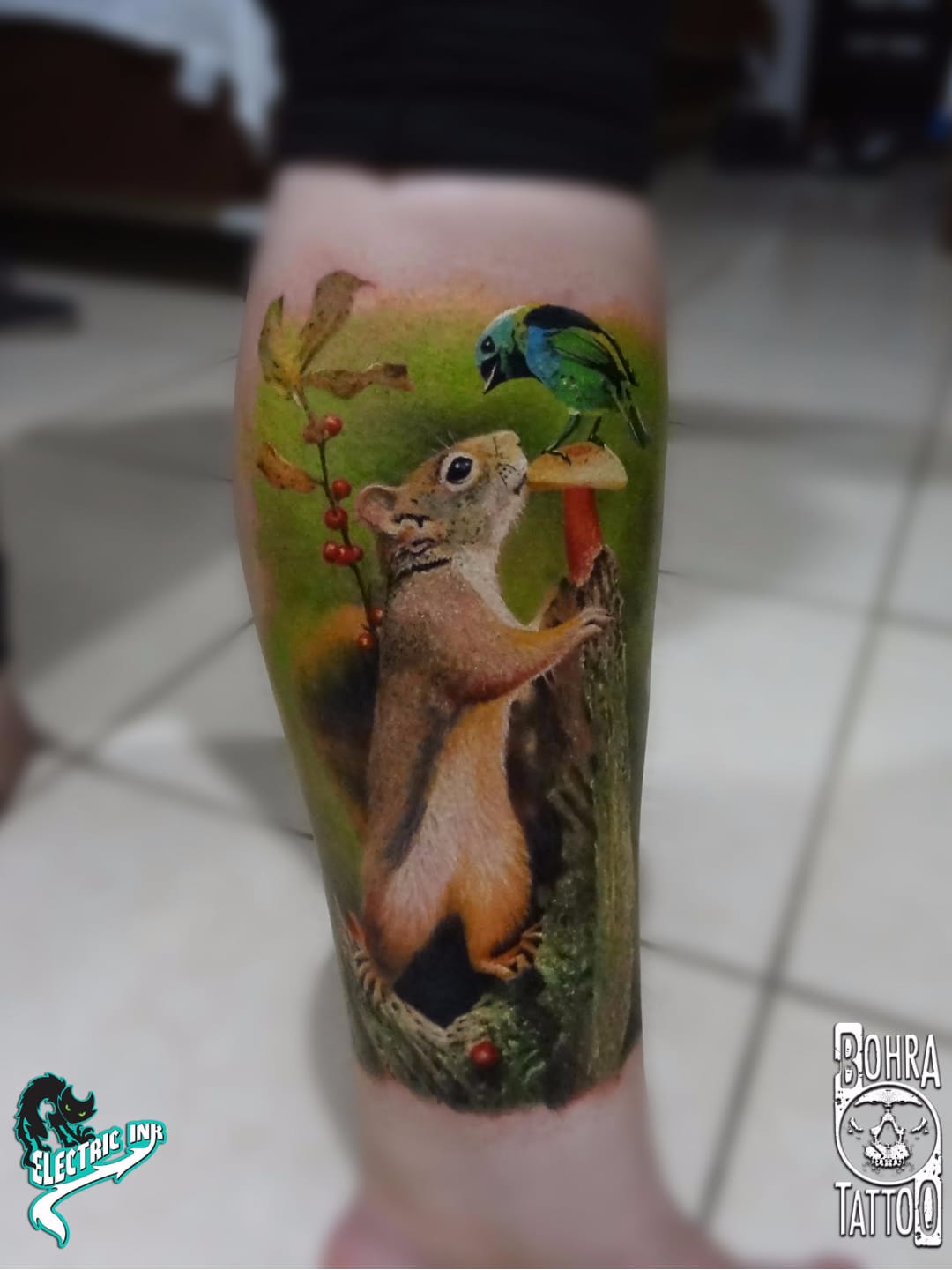 Fofos #JandersonBolzan #Bohra #brasil #brazil #brazilianartist #tatuadoresdobrasil #realismo #realism #colorido #colorful #nature #natureza #esquilo #squirrel #ave #passaro #bird #planta #plant #fruta #fruit
