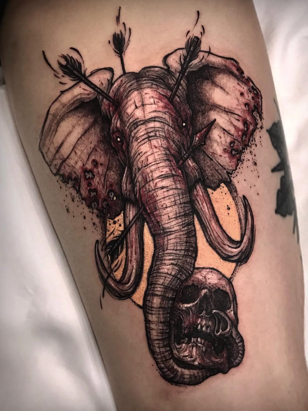 #Varo #VaroTattooer #gringo #pontilhismo #dotwork #neotraditional #elefante #elephant #caveira #cranio #skull #flecha #arrow