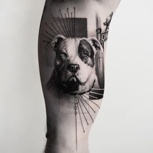 Realistic pitbull pup tattoo by Oscar Akermo #OscarAkermo #petportraittattoo #blackandgrey #realism #realistic #hyperrealism #pitbull #dog #puppy #streetsign #pigeon #bird #Linework #abstract #mashup #tattoooftheday