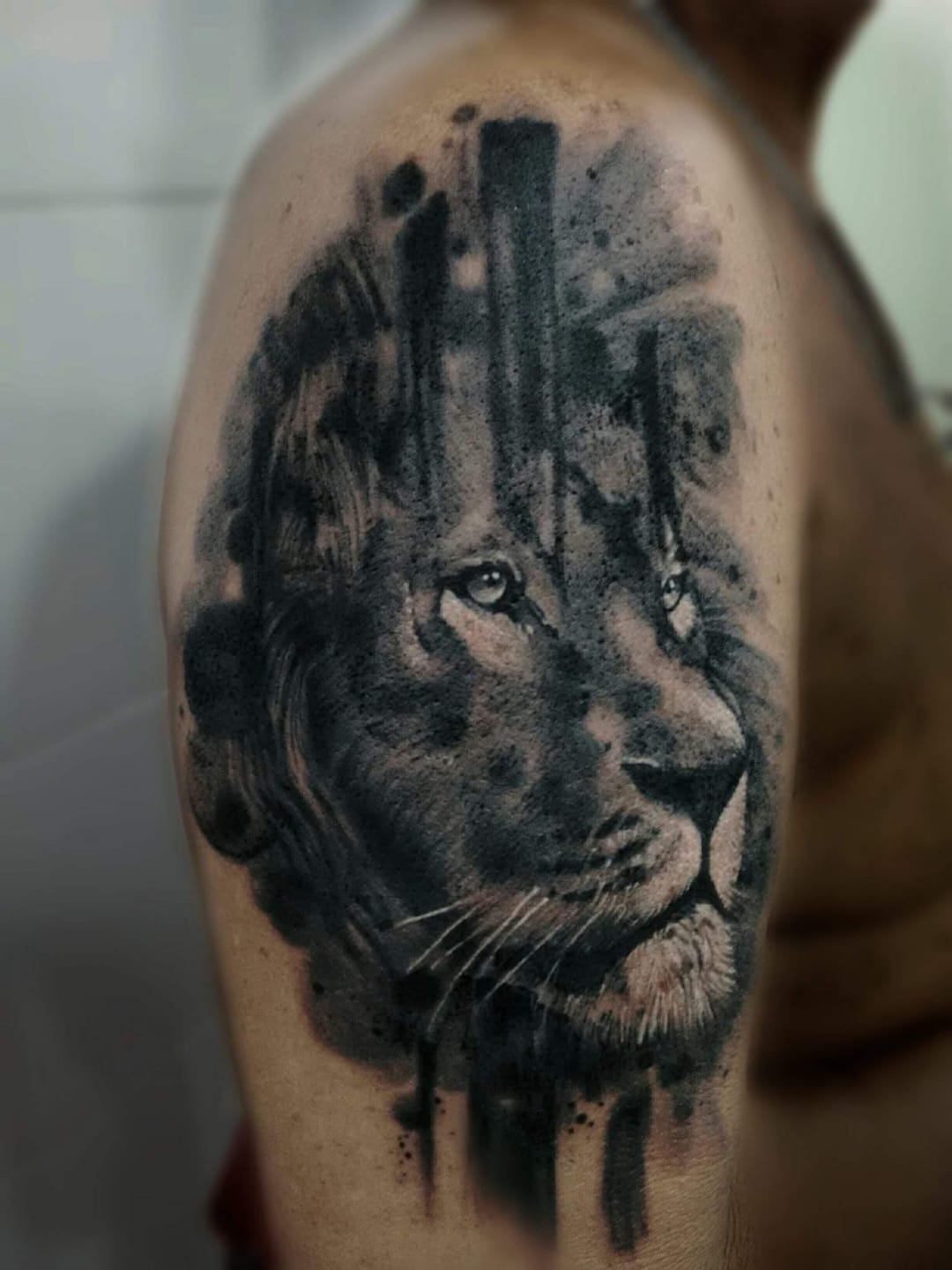 #LucasFranca #brazil #brasil #brazilianartist #tatuadoresdobrasil #realismo #realism #pretoecinza #blackandgrey #leao #lion #aquarela #watercolor
