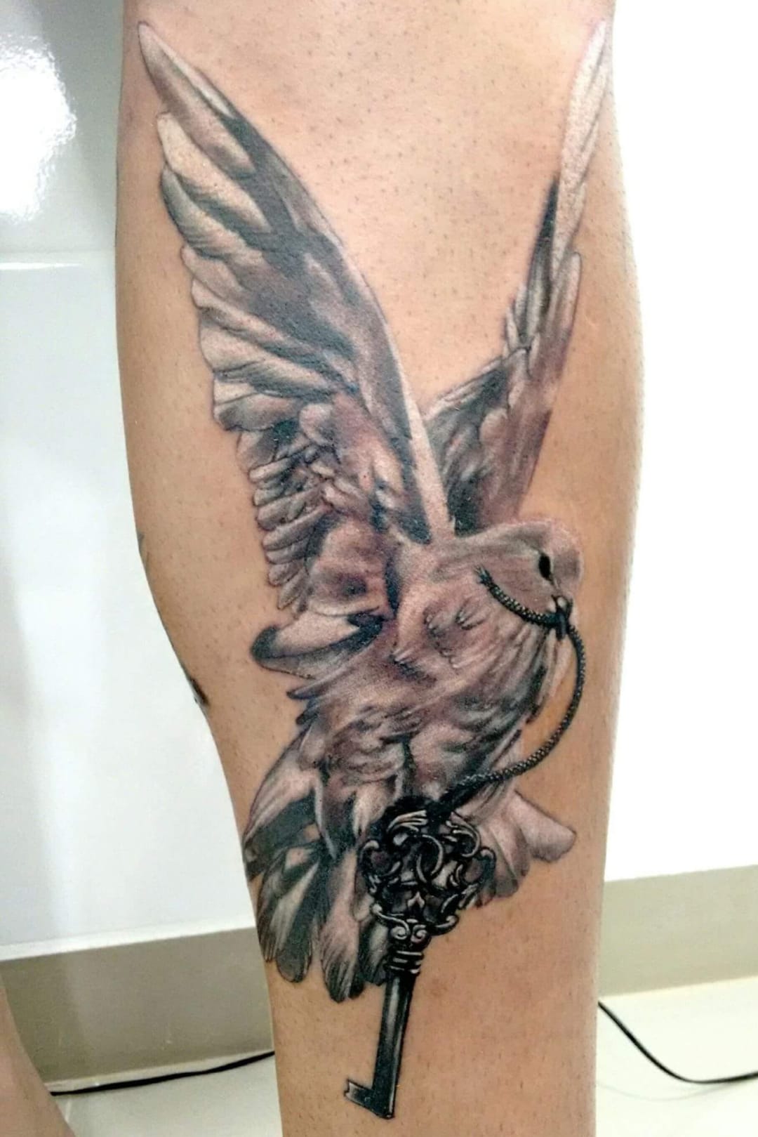 #LucasFranca #brazil #brasil #brazilianartist #tatuadoresdobrasil #realismo #realism #pretoebranco #blackandwhite #ave #passaro #bird #chave #key