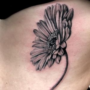 Daisy tattoo by Lara Scotton #LaraScotton #flowertattoos #blackandgrey #realism #realistic #neotraditional #daisy #flower #floral #nature