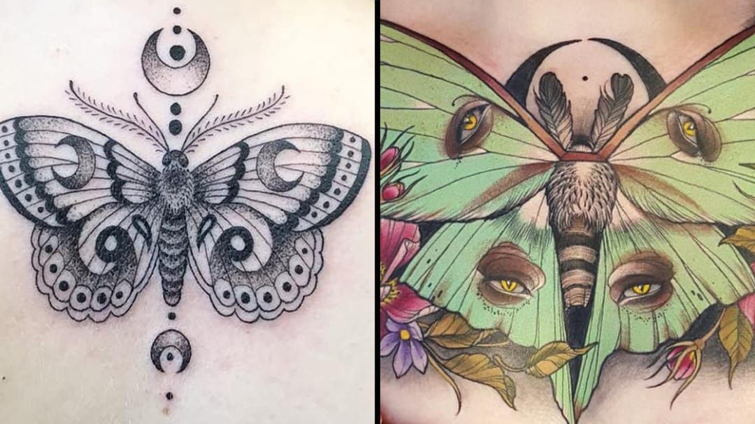 Gypsy moth luna moth tattoo