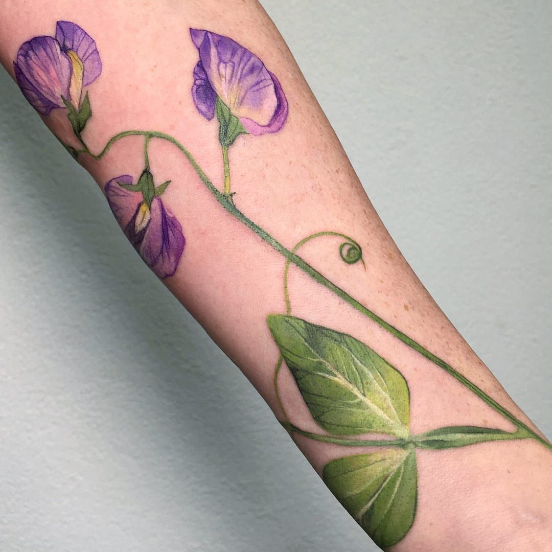 Watercolor Sweet Pea flowers done by Vic Tamian at Victory Tattoo in Little  Falls NJ  rtattoos