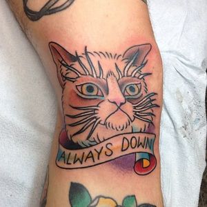 Grumpy Cat tattoo by Vic Savage #VicSavage #TardarSauce #GrumpyCat #cat #kitty #petportrait #GrumpyCattattoos #GrumpyCattattoo #cattattoo #meme #petportraittattoo #funnytattoo