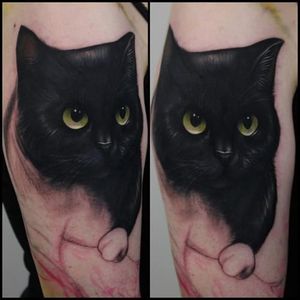 Black cat portrait by Aimèe Cornwell