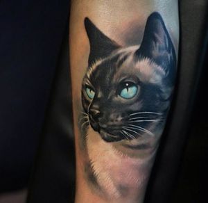Cat portrait tattoo by Olga Sergeeva