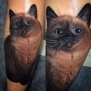 Very realistic cat portrait tattoo