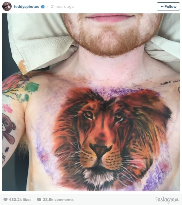 You Okay Ed Singer Gets Giant Lion Tattoo On His Chest